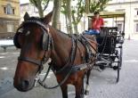 <p>Carrozza</p>